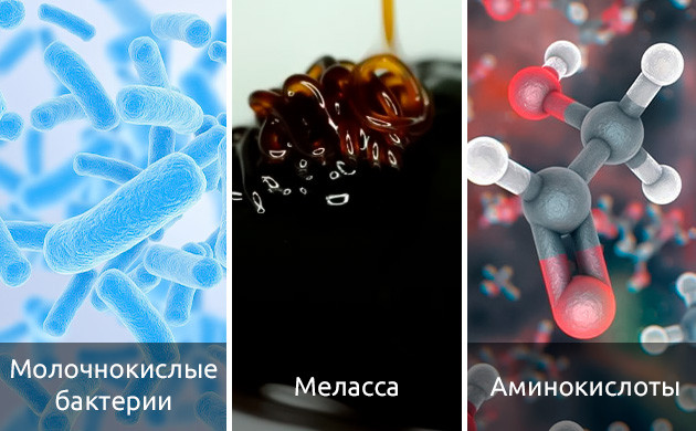 Добавки для увеличения количества трихом в каннабисе Раскрытие потенциала трихом: роль добавок в каннабисе