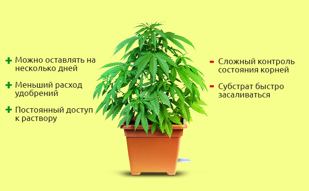 Преимущества и недостатки Hempy Bucket Плюсы и минусы «Конопляного ведра»