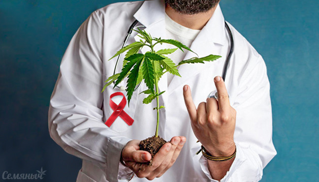 Медицинская конопля