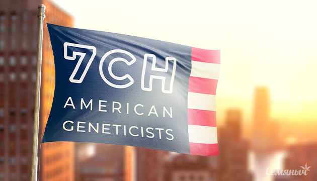 Сидбанк 7CH American