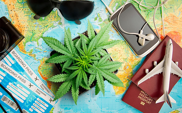 Популяризация канна-туризма