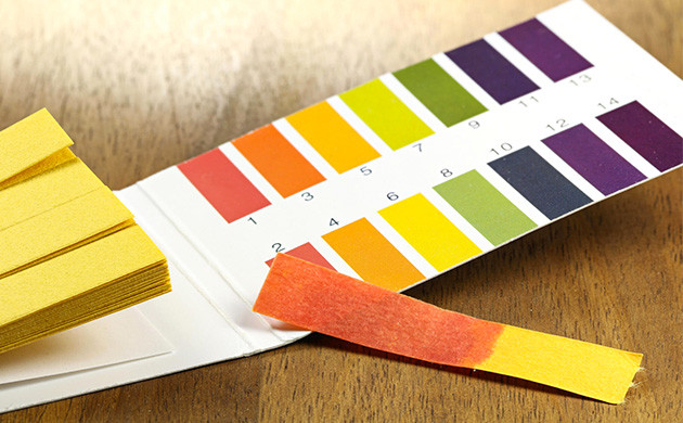 Измерение pH лакмусовыми бумажками Определение pH почвы лакмусовыми бумажками