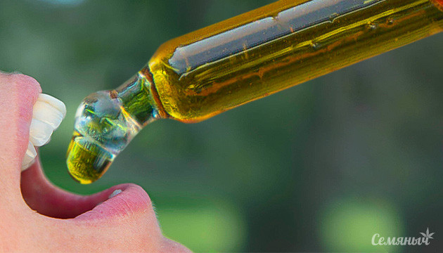 Толерантность к каннабису: фокус на ТГК Перерыв в использовании марихуаны: практический смысл