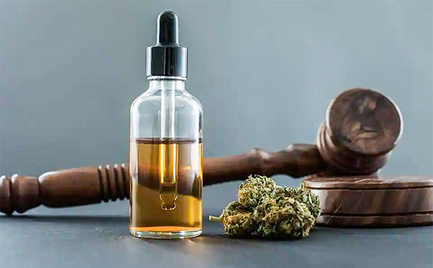 Правовой статус КБД: разрешение и ограничения Не психоактивный каннабидиол: нормы и требования