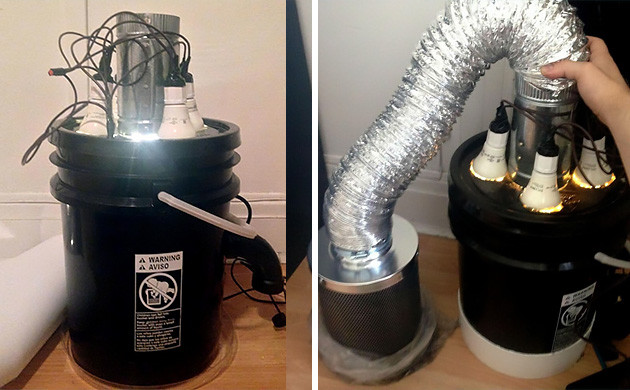 Организация освещения Лампы ЭСЛ для освещения Космического Ведра