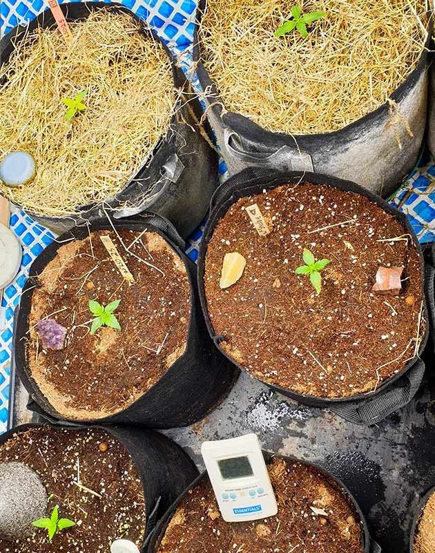 Покрытие супергрунта мульчей