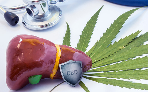 Марихуана и печень