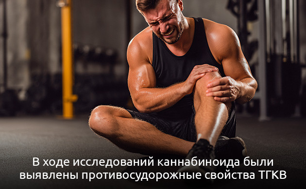 Тетрагидроканнабиварин (ТГКВ) и его эффекты на организм