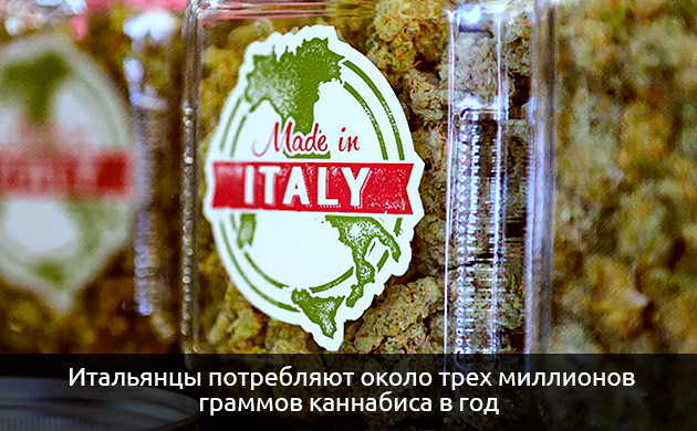 Популярность каннабиса в Италии Сколько итальянцы потребляют каннабиса