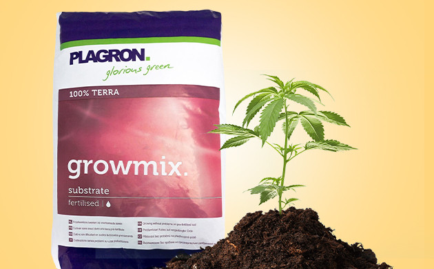 Выращивание в качественном грунте Субстрат Plagron Growmix