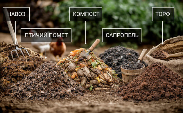 Органические удобрения для аутдора Натуральные удобрения для конопли в аутдоре