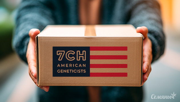 Новинки от 7CH American