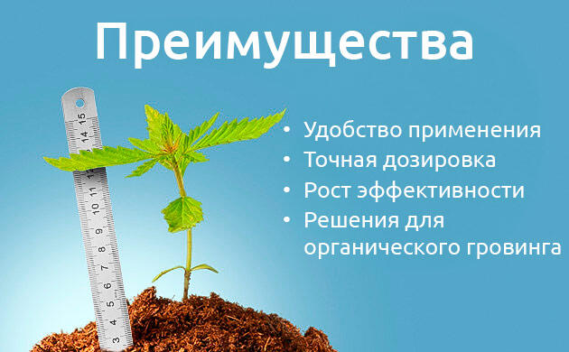 Преимущества стимуляторов цветения для каннабиса