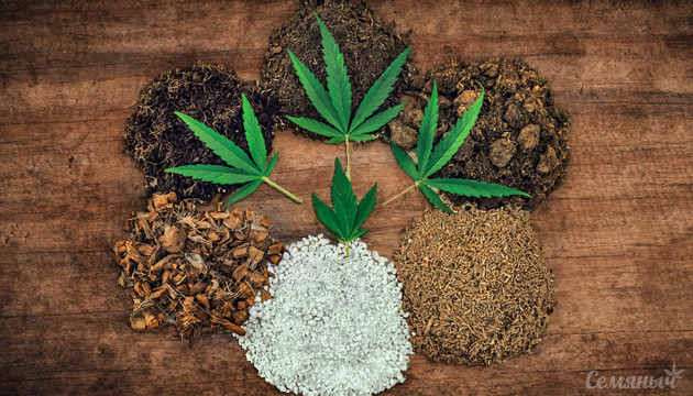 Виды субстратов для гровинга марихуаны