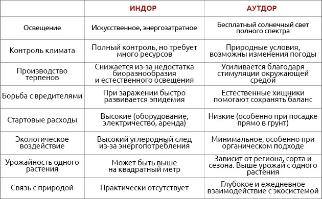 Особенности выращивания каннабиса в индоре и аутдоре Нюансы выращивания марихуаны в индоре и аутдоре