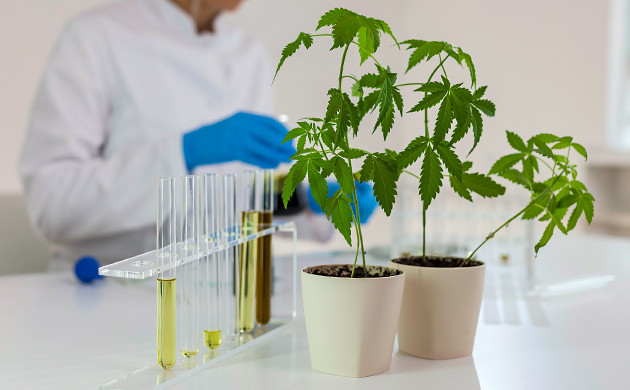 Начинающим гроверам: основы успеха