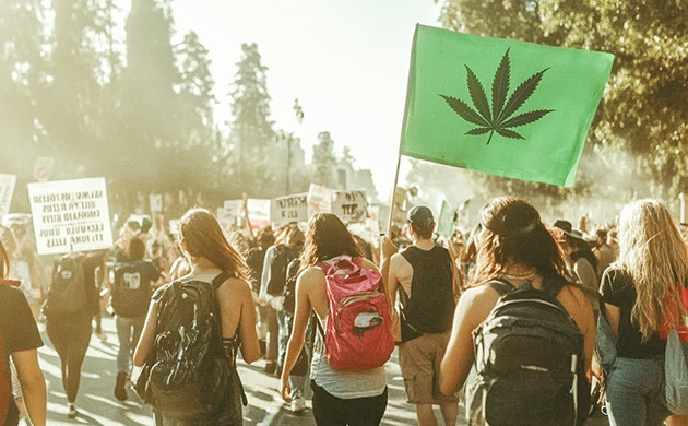 Легализация марихуаны в США