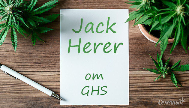 Гроуропорт по выращиванию марихуаны сорта Jack Herer от Green House Seeds Выращивание марихуаны сорта Jack Herer