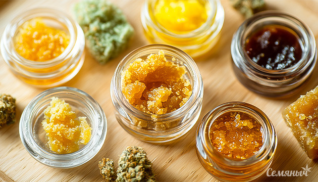 Несколько поводов выбрать концентраты вместо шишек