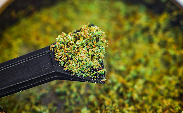 Сбор кифа из измельченной растительной массы Измельченная марихуана