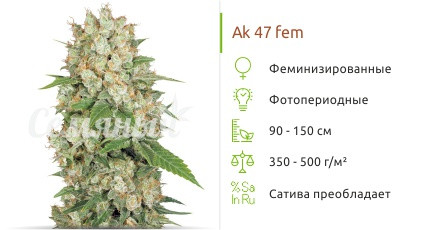 AK 47 от Семяныча