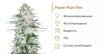 Power Plant X от Семяныча