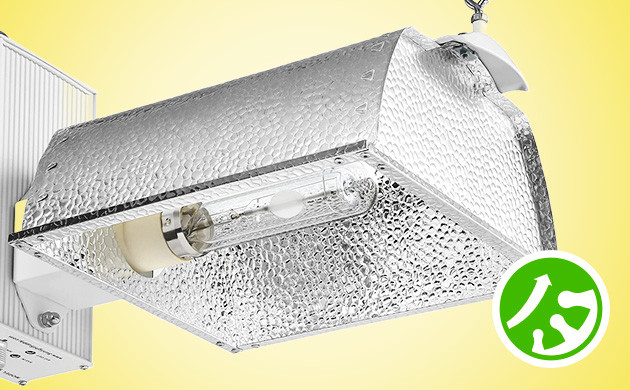 Использование ламп LEC: увеличение количества трихом в конопле Использование ламп LEC для увеличения производства трихом в конопле