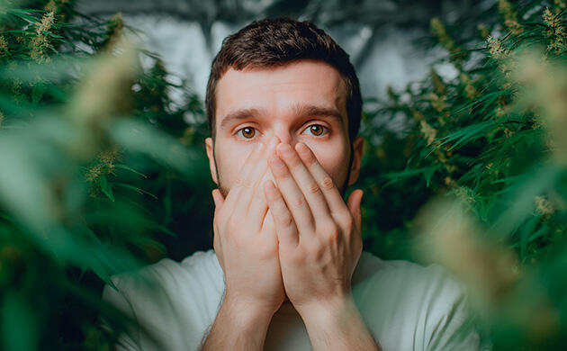 Может ли каннабис помочь при синдроме Туретта