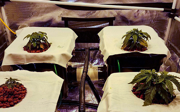 Топпинг Gelato Auto