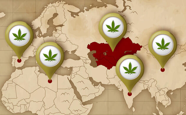 Исторический путь конопли Пути распространения конопли вдоль торговых маршрутов