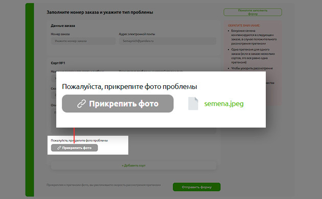 Фото проблемы