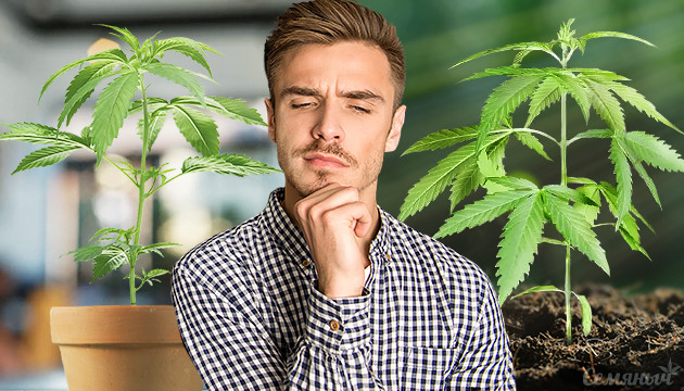 Индор против аутдора