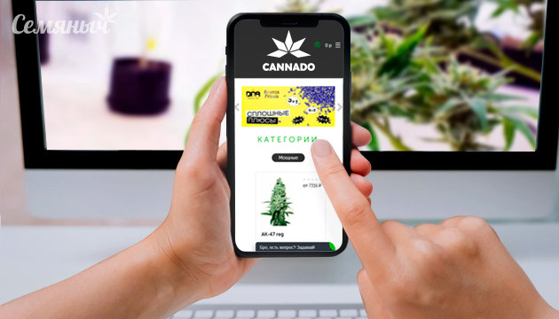 Cannado на сматфоне