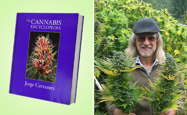 Книга «Библия гровера» «Библия гровера» и Хорхе Сервантес