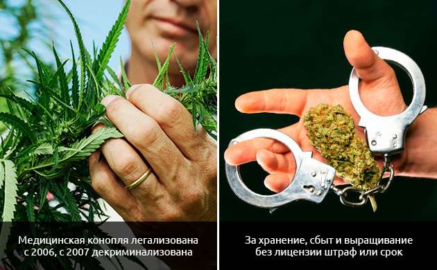 Наркополитика в отношении марихуаны в Италии Закон и марихуана в Италии