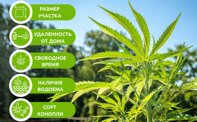 Что нужно учесть перед расчетом кустов Факторы влияющие на количество выращиваемого урожая