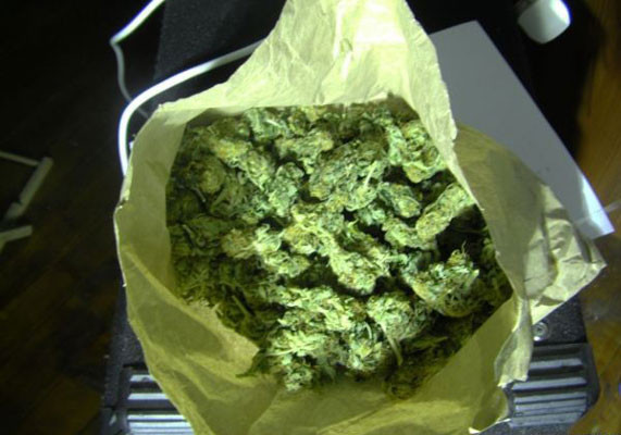 Собранный урожай Black Jack Auto