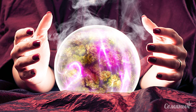 Конопля и мистицизм