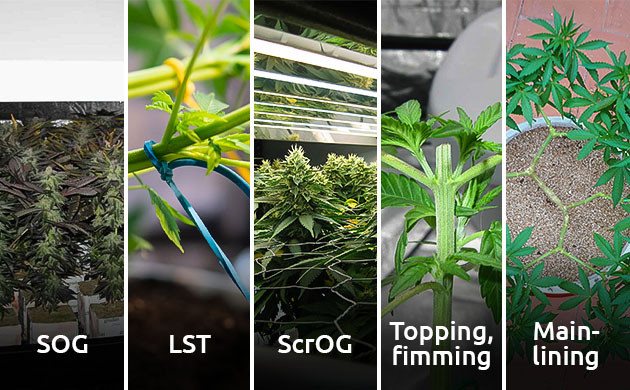 Эффективное использование пространства в грове