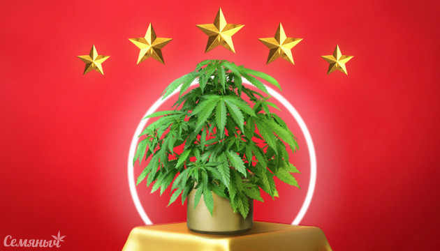 Лучшие сорта недели