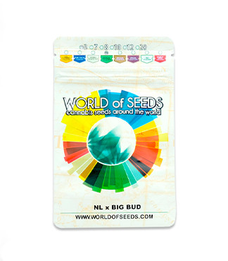 Northern Light X Big Bud fem (World of Seeds)