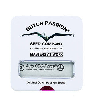 Auto CBG-Force fem (Dutch Passion)