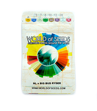 Northern Lights x Big Bud Auto fem (World of Seeds)