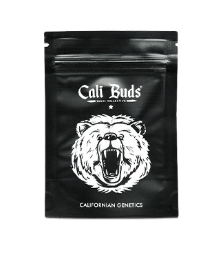 Sherbet Cuvee Cookies fem (Cali Buds Seeds)