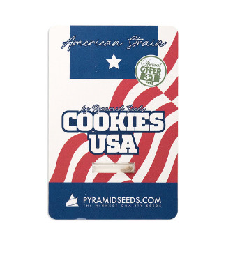 Cookies USA fem (Pyramid Seeds)