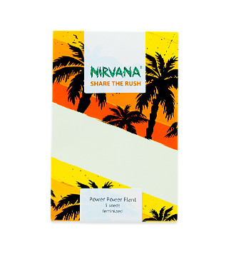 Pure Power Plant fem (Nirvana Seeds)