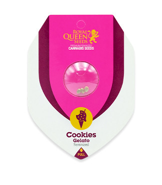 Cookies Gelato fem (RQS)
