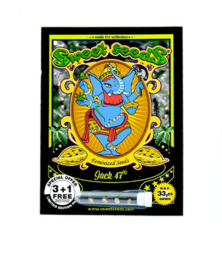 Jack 47 fem (Sweet Seeds)