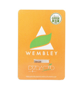 Wembley fem (Pyramid Seeds)