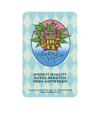 Snow Star Auto fem (Amsterdam Seeds)